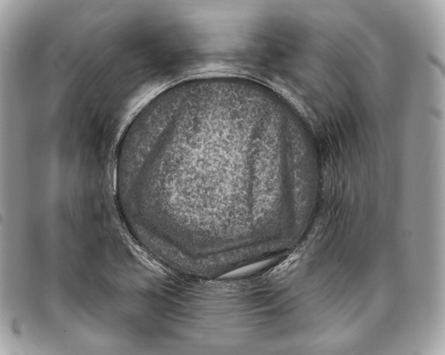 X0000096151413200802081401