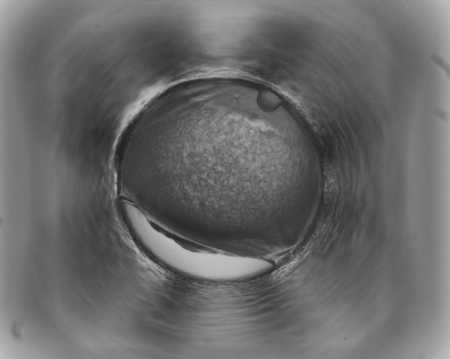 X0000096151414200802081401