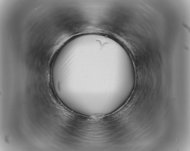 X0000096151415200802081401