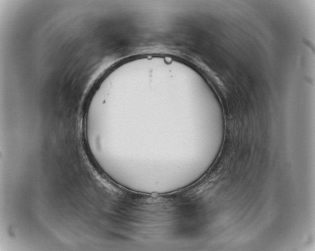 X0000096151416200802081401