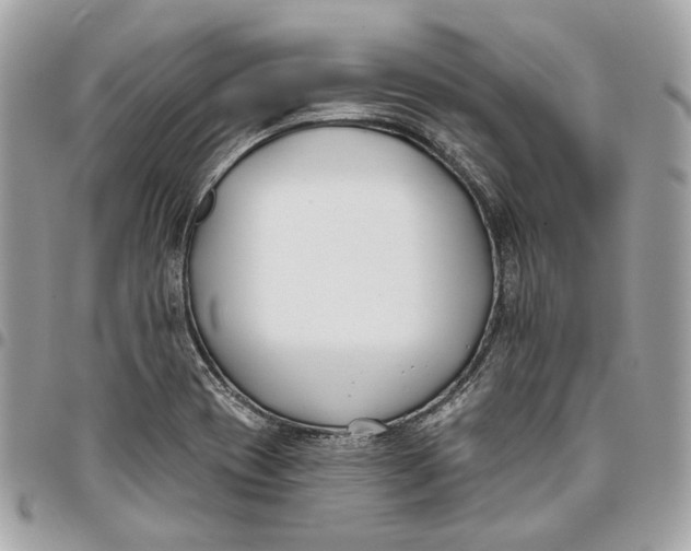 X0000096151417200802081401