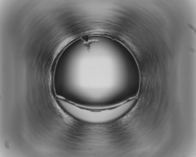 X0000096151418200802081401