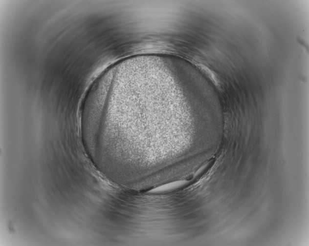 X0000096151419200802081401