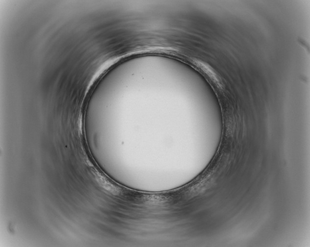 X0000096151420200802081401