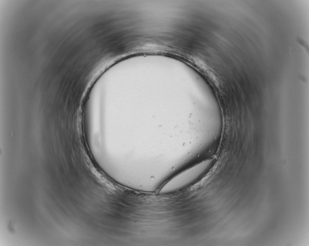 X0000096151421200802081401
