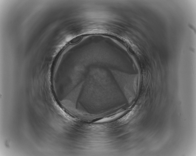X0000096151422200802081401