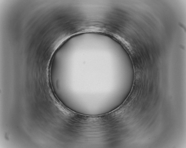 X0000096151423200802081401