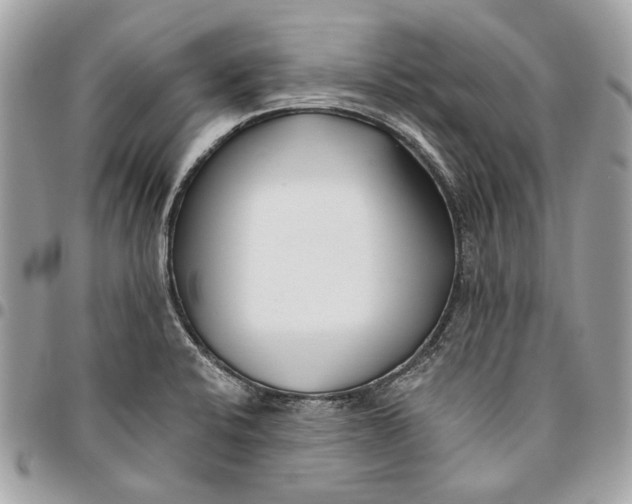 X0000096151424200802081401