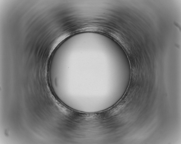 X0000096151426200802081401