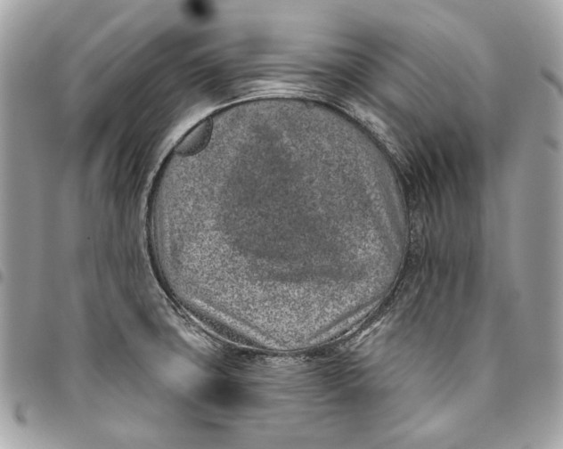 X0000096151427200802081401