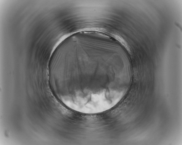 X0000096151428200802081401
