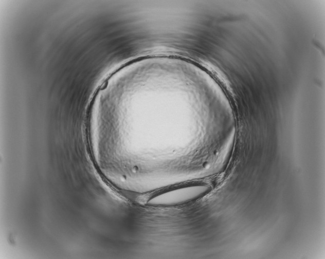 X0000096151429200802081401