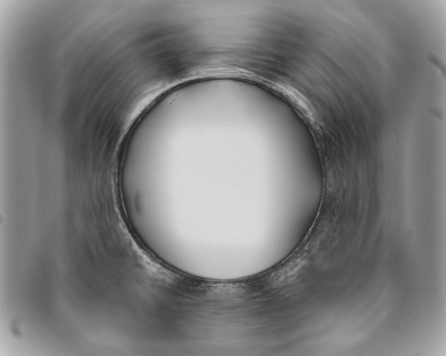 X0000096151430200802081401