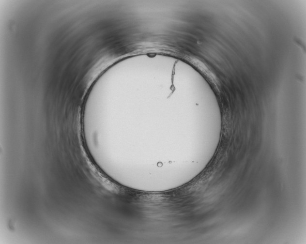 X0000096151431200802081401