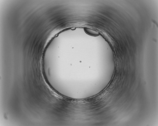 X0000096151432200802081401