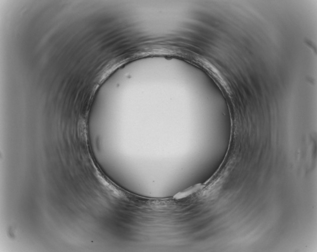 X0000096151433200802081401