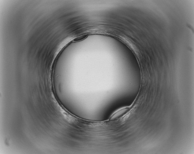 X0000096151434200802081401