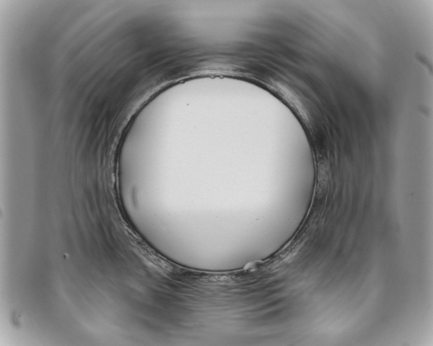 X0000096151435200802081401