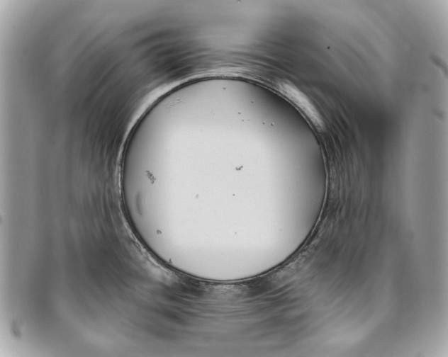 X0000096151436200802081401