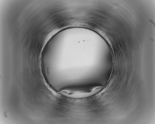 X0000096151437200802081401