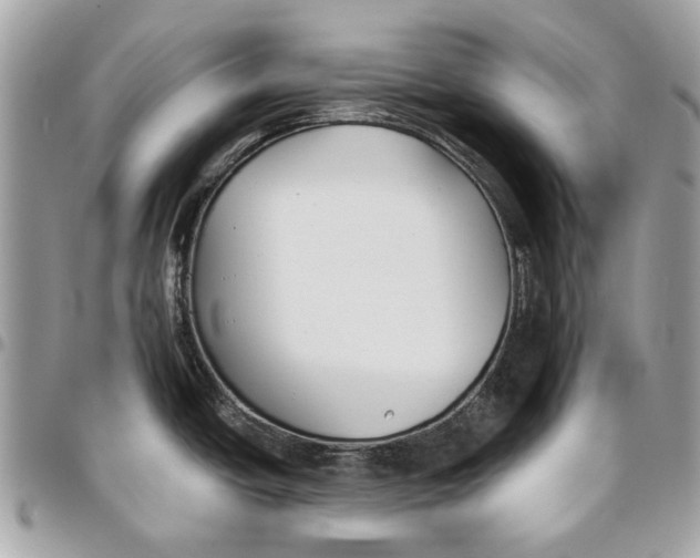X0000096151438200802081401