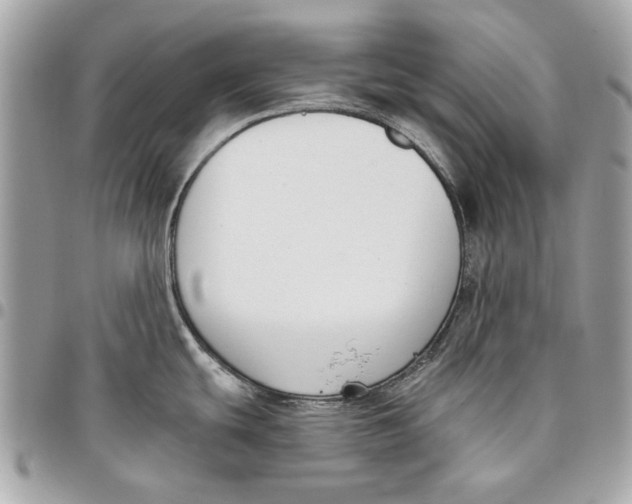 X0000096151439200802081401
