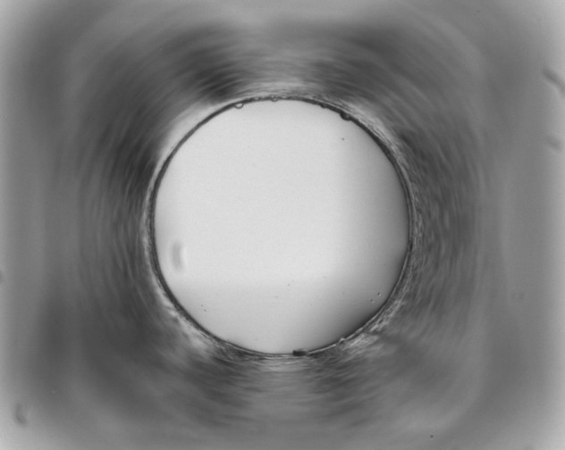 X0000096151440200802081401