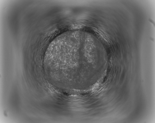 X0000096151441200802081400
