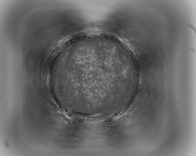 X0000096151445200802081400