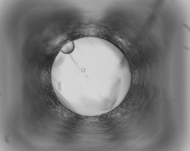 X0000096151446200802081400