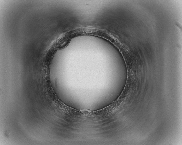 X0000096151447200802081400