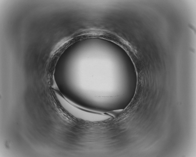 X0000096151448200802081400