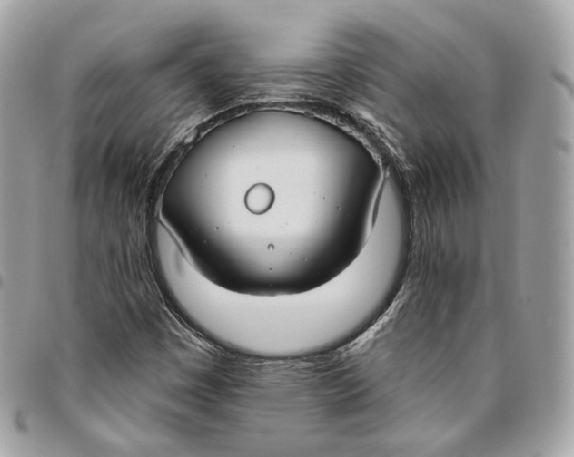 X0000096151449200802081400
