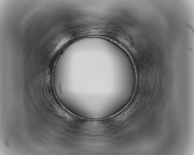 X0000096151450200802081400