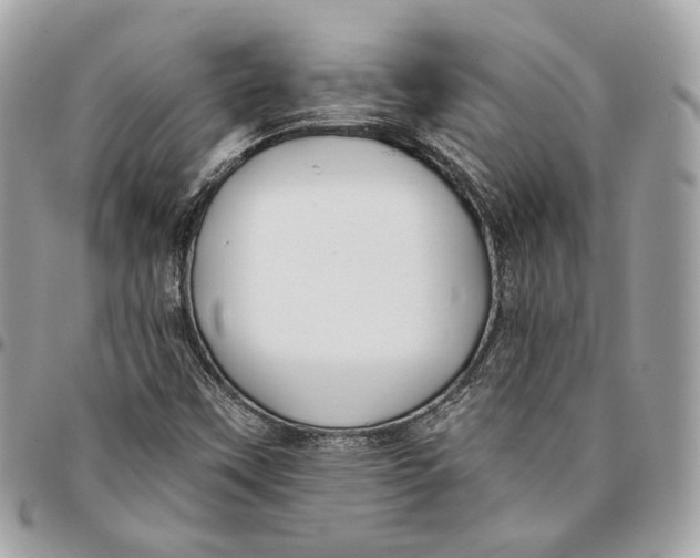 X0000096151451200802081400