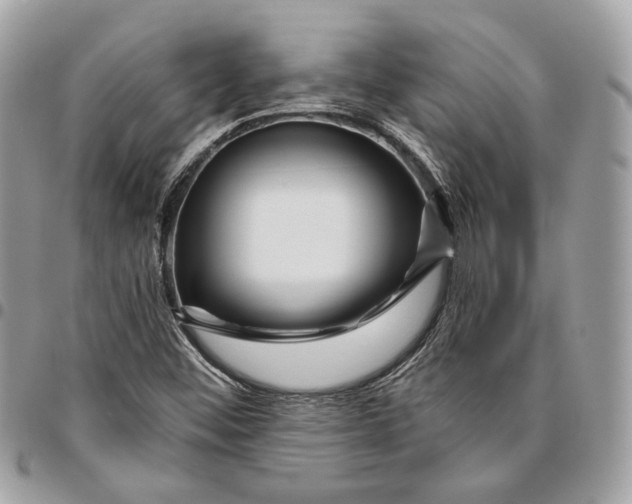 X0000096151452200802081400