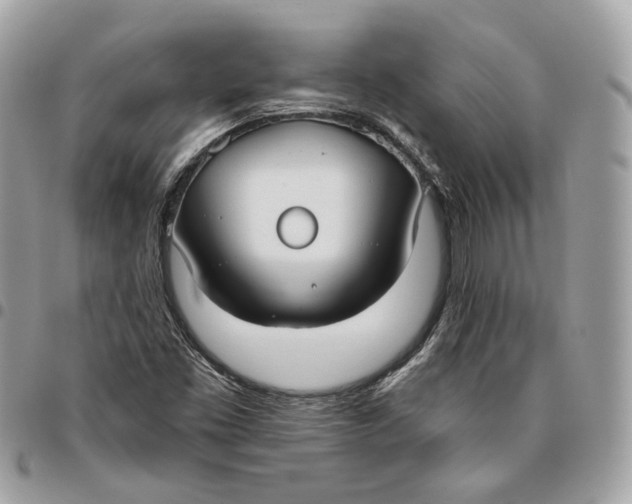 X0000096151453200802081400