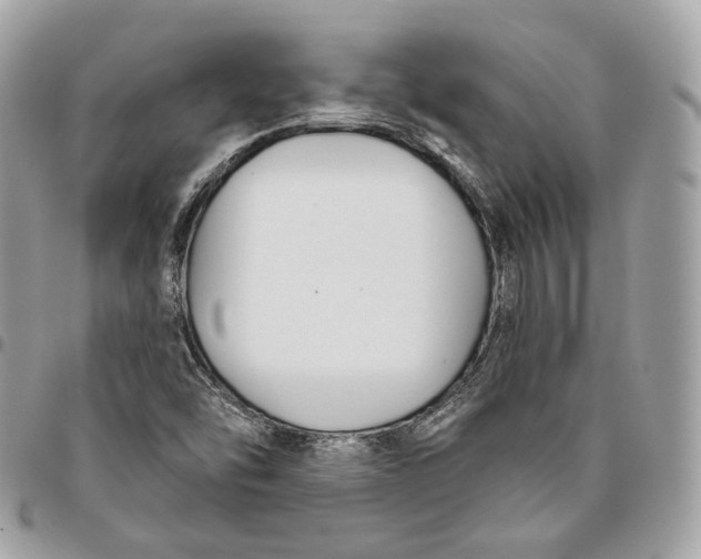 X0000096151454200802081400