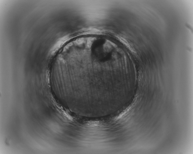 X0000096151455200802081400