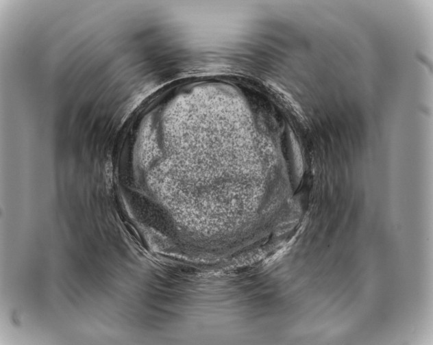X0000096151457200802081400