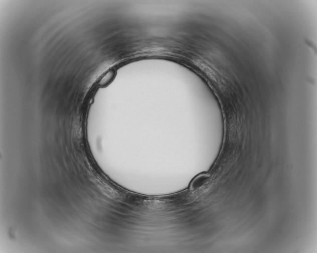 X0000096151458200802081400