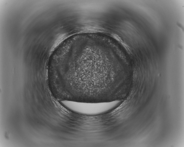 X0000096151459200802081400