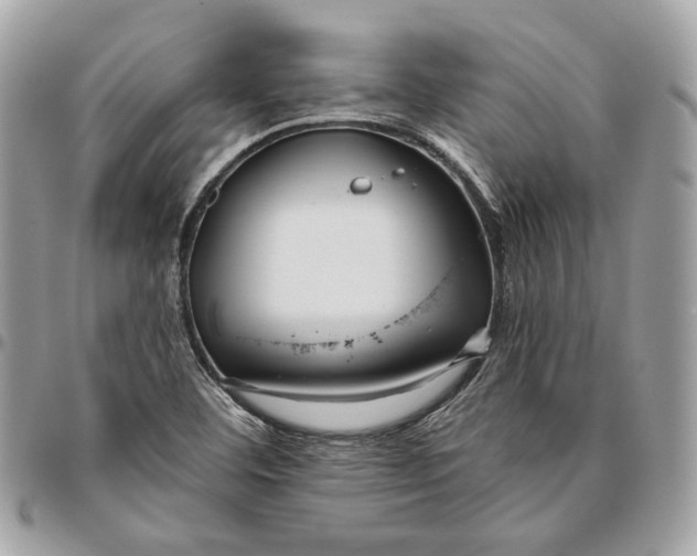 X0000096151460200802081400