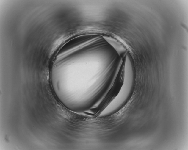 X0000096151461200802081400