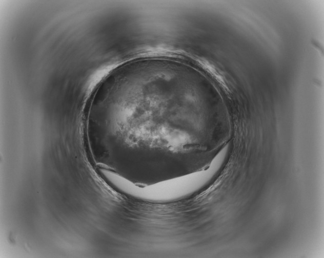 X0000096151463200802081400