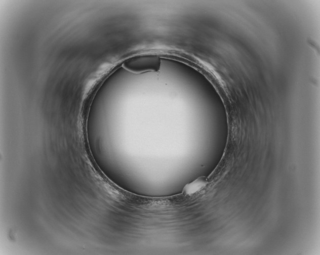 X0000096151464200802081400