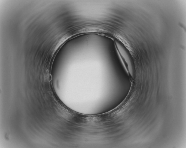 X0000096151465200802081400