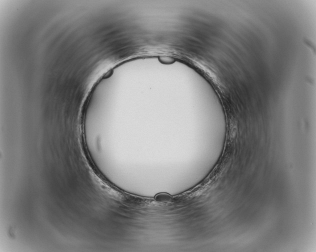 X0000096151471200802081400