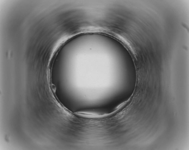 X0000096151472200802081400