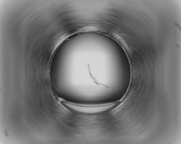 X0000096151473200802081400
